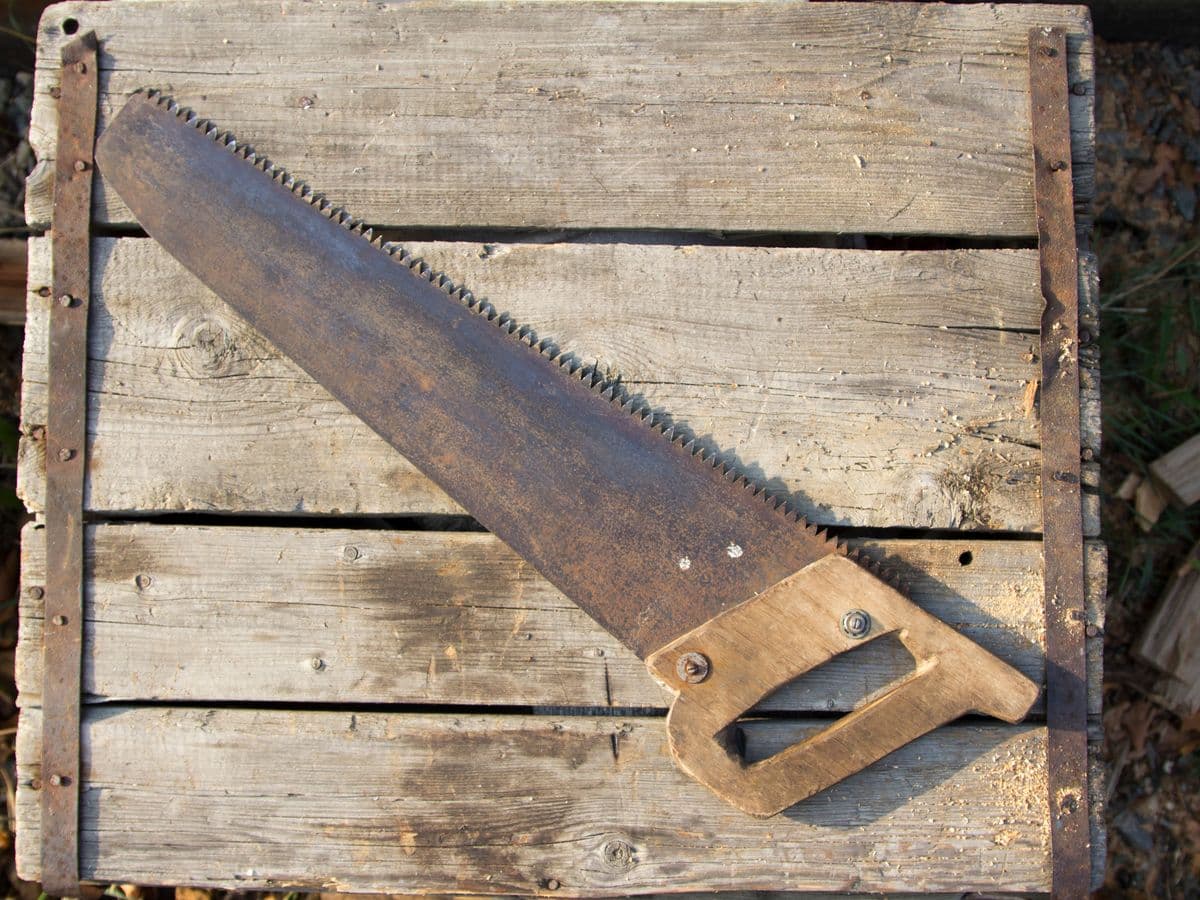 Serrote 22"