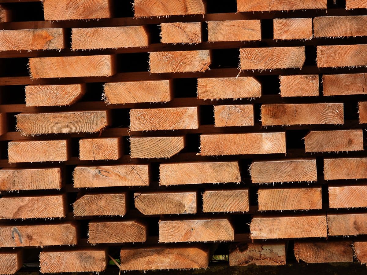 Tábua de cedrinho para forma 2,5 × 30 cm · 3 m